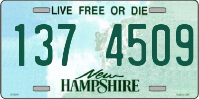 NH license plate 1374509