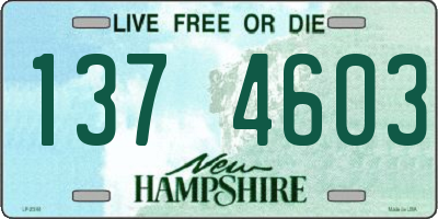 NH license plate 1374603