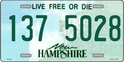 NH license plate 1375028