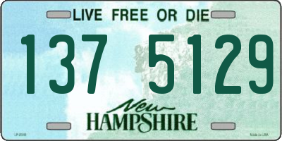 NH license plate 1375129