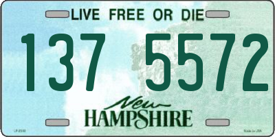 NH license plate 1375572