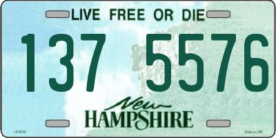 NH license plate 1375576