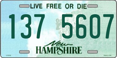 NH license plate 1375607