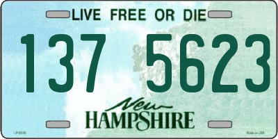 NH license plate 1375623