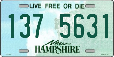 NH license plate 1375631