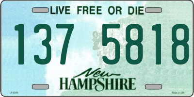 NH license plate 1375818