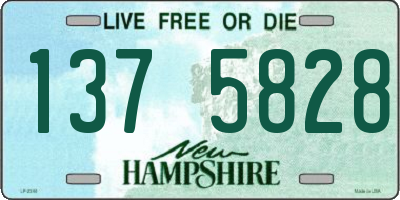 NH license plate 1375828