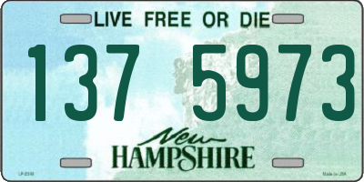 NH license plate 1375973