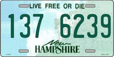 NH license plate 1376239