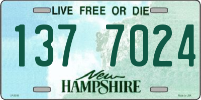 NH license plate 1377024