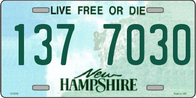 NH license plate 1377030