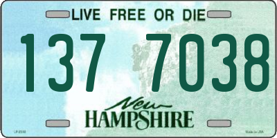 NH license plate 1377038