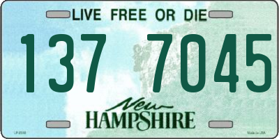 NH license plate 1377045