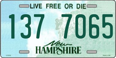 NH license plate 1377065