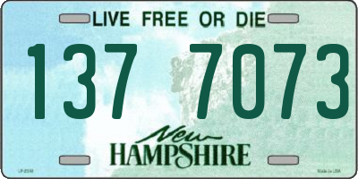 NH license plate 1377073