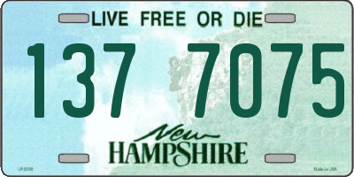 NH license plate 1377075