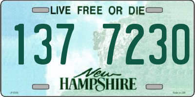 NH license plate 1377230