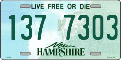 NH license plate 1377303