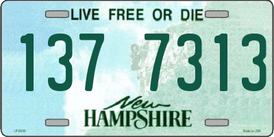 NH license plate 1377313
