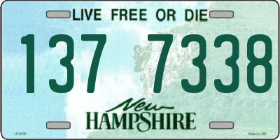 NH license plate 1377338