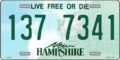 NH license plate 1377341