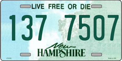 NH license plate 1377507