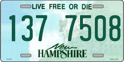 NH license plate 1377508