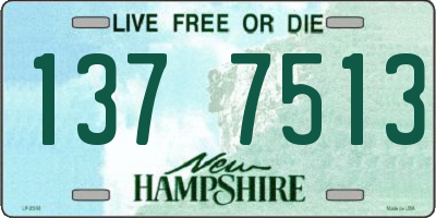 NH license plate 1377513