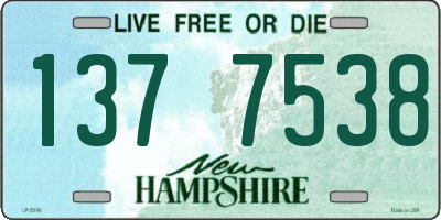 NH license plate 1377538