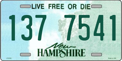 NH license plate 1377541