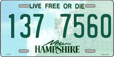 NH license plate 1377560