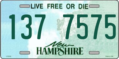 NH license plate 1377575