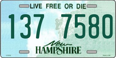 NH license plate 1377580