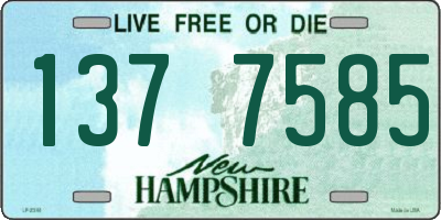NH license plate 1377585