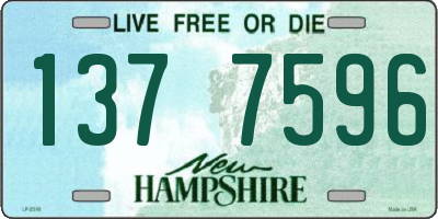 NH license plate 1377596
