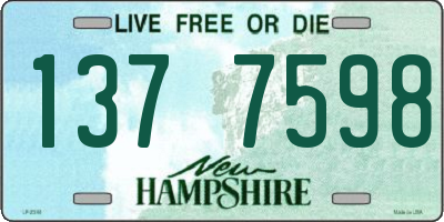 NH license plate 1377598