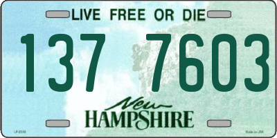 NH license plate 1377603