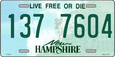 NH license plate 1377604
