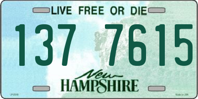 NH license plate 1377615