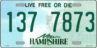 NH license plate 1377873