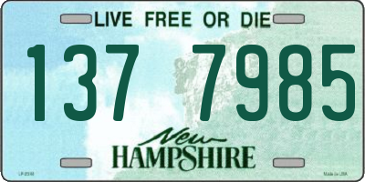 NH license plate 1377985