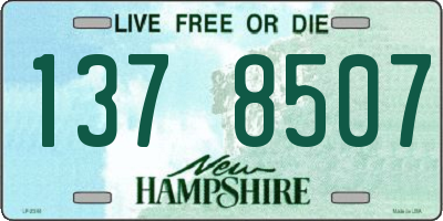 NH license plate 1378507