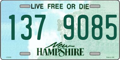 NH license plate 1379085