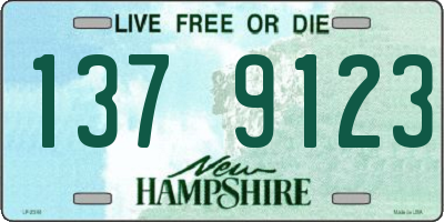 NH license plate 1379123