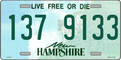 NH license plate 1379133