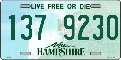 NH license plate 1379230