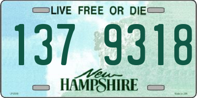 NH license plate 1379318