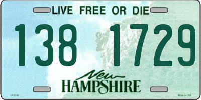 NH license plate 1381729