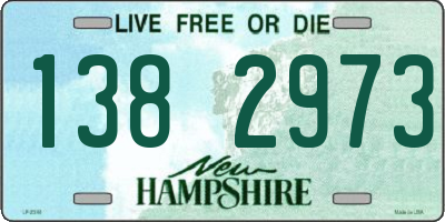 NH license plate 1382973