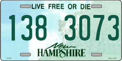 NH license plate 1383073